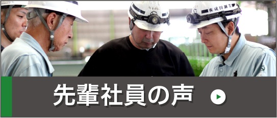 先輩社員の声